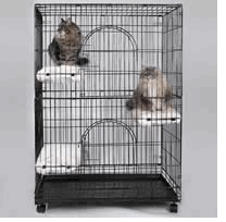 kitty condo.gif kitty condo